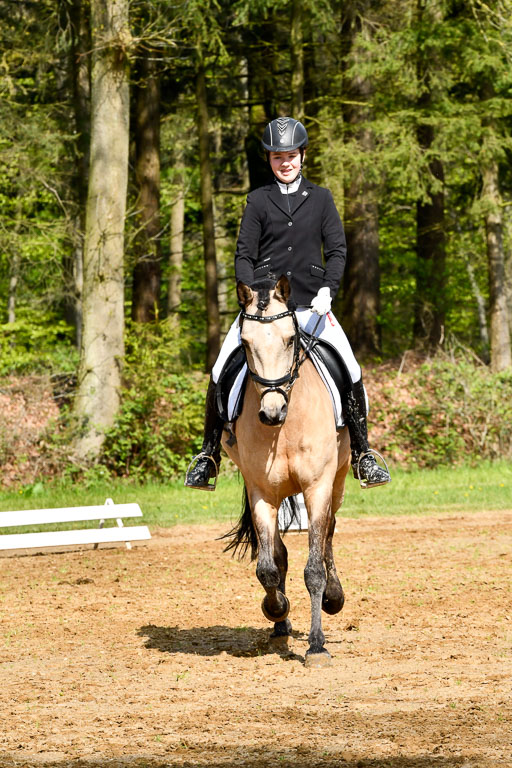 Quali für Goldene Schärpe Ponys in Berge   6+7.5.23 | Malin Brackmann - Gino_04 