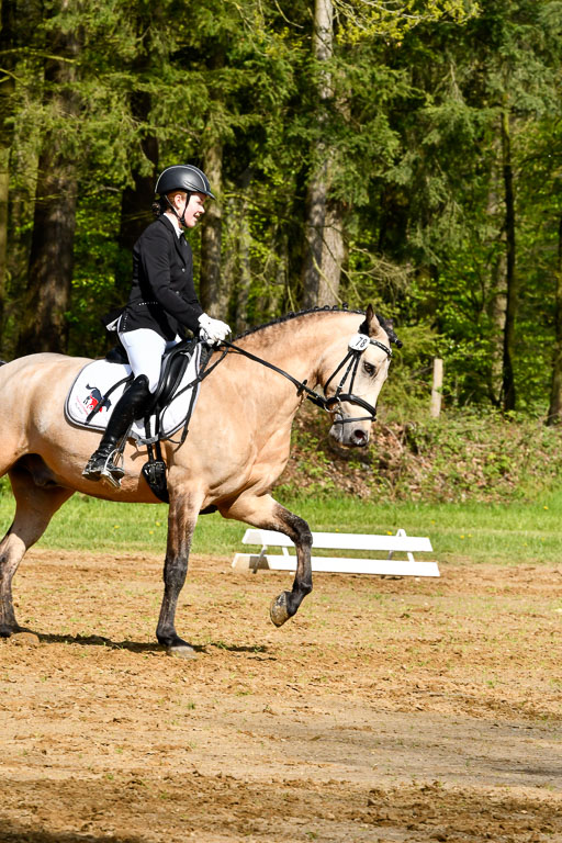 Quali für Goldene Schärpe Ponys in Berge   6+7.5.23 | Malin Brackmann - Gino_07 