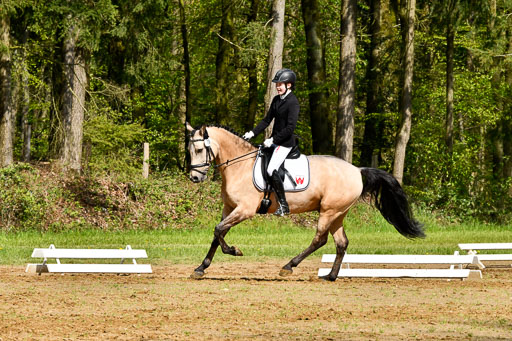 Quali für Goldene Schärpe Ponys in Berge   6+7.5.23 | Malin Brackmann - Gino_08 