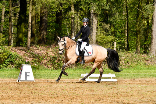 Quali für Goldene Schärpe Ponys in Berge   6+7.5.23 | Malin Brackmann - Gino_09 
