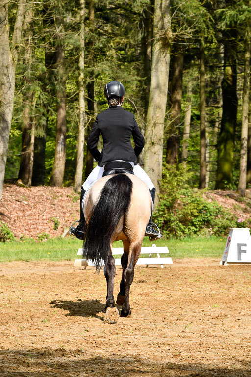 Quali für Goldene Schärpe Ponys in Berge   6+7.5.23 | Malin Brackmann - Gino_11 