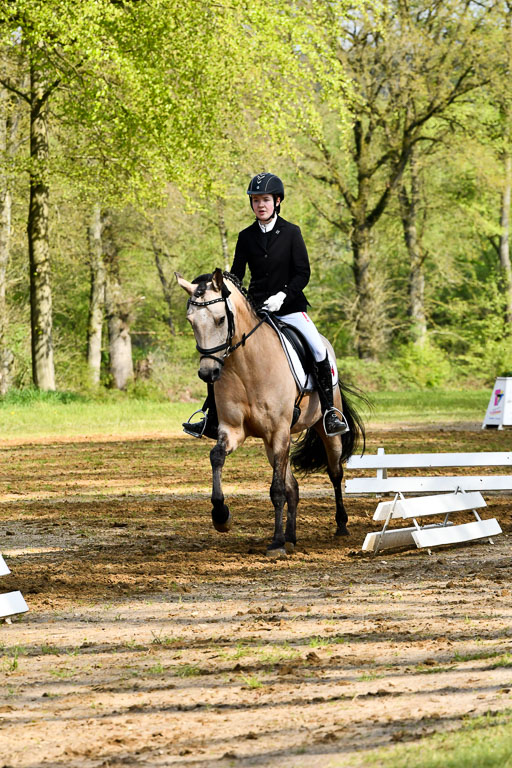 Quali für Goldene Schärpe Ponys in Berge   6+7.5.23 | Malin Brackmann - Gino_12 