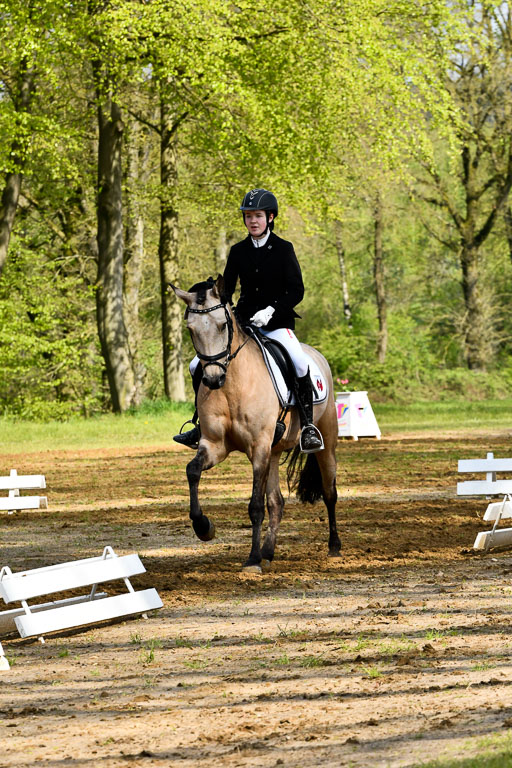 Quali für Goldene Schärpe Ponys in Berge   6+7.5.23 | Malin Brackmann - Gino_13 