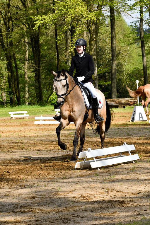Quali für Goldene Schärpe Ponys in Berge   6+7.5.23 | Malin Brackmann - Gino_14 