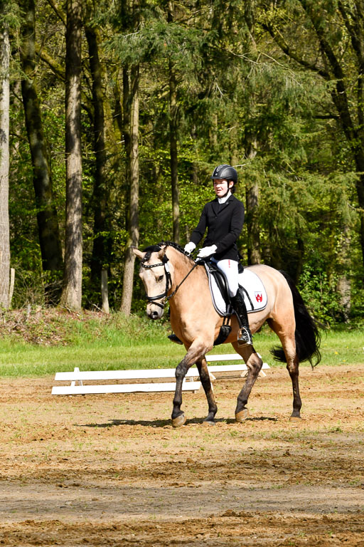 Quali für Goldene Schärpe Ponys in Berge   6+7.5.23 | Malin Brackmann - Gino_15 
