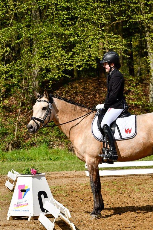 Quali für Goldene Schärpe Ponys in Berge   6+7.5.23 | Malin Brackmann - Gino_16 