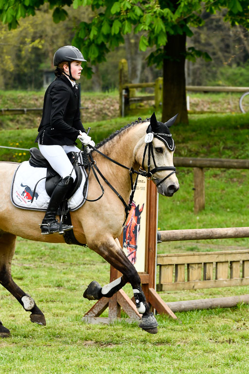 Quali für Goldene Schärpe Ponys in Berge   6+7.5.23 | Malin Brackmann - Gino_28 
