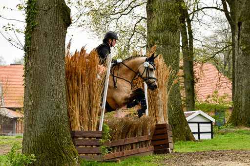 Quali für Goldene Schärpe Ponys in Berge   6+7.5.23 | Malin Brackmann - Gino_40 