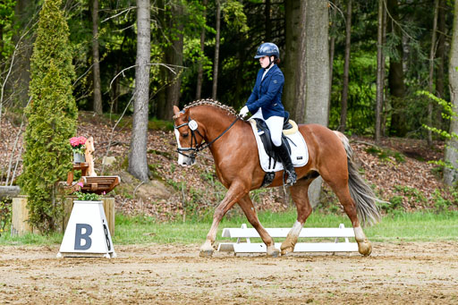 Quali für Goldene Schärpe Ponys in Berge   6+7.5.23 | Mathilda vor dem Brocke - Awakino Golden Glory_10 