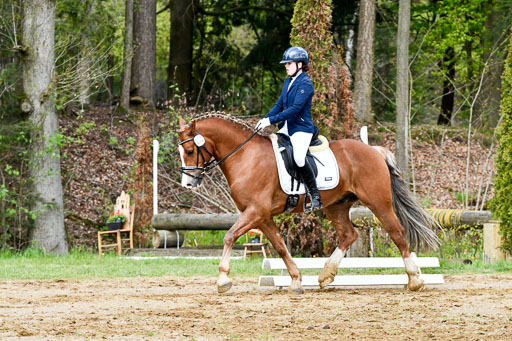 Quali für Goldene Schärpe Ponys in Berge   6+7.5.23 | Mathilda vor dem Brocke - Awakino Golden Glory_11 