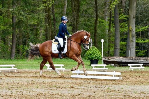 Quali für Goldene Schärpe Ponys in Berge   6+7.5.23 | Mathilda vor dem Brocke - Awakino Golden Glory_15 