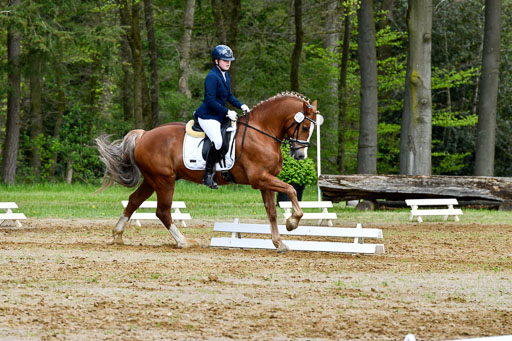 Quali für Goldene Schärpe Ponys in Berge   6+7.5.23 | Mathilda vor dem Brocke - Awakino Golden Glory_16 