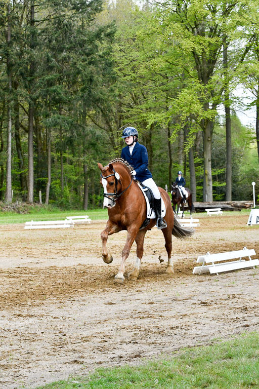 Quali für Goldene Schärpe Ponys in Berge   6+7.5.23 | Mathilda vor dem Brocke - Awakino Golden Glory_18 