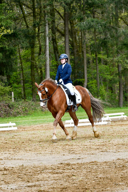 Quali für Goldene Schärpe Ponys in Berge   6+7.5.23 | Mathilda vor dem Brocke - Awakino Golden Glory_19 