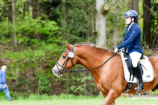 Quali für Goldene Schärpe Ponys in Berge   6+7.5.23 | Mathilda vor dem Brocke - Awakino Golden Glory_23 
