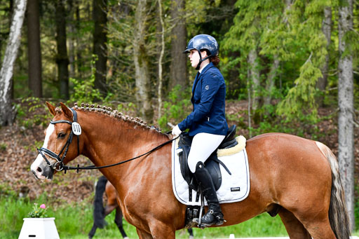 Quali für Goldene Schärpe Ponys in Berge   6+7.5.23 | Mathilda vor dem Brocke - Awakino Golden Glory_24 