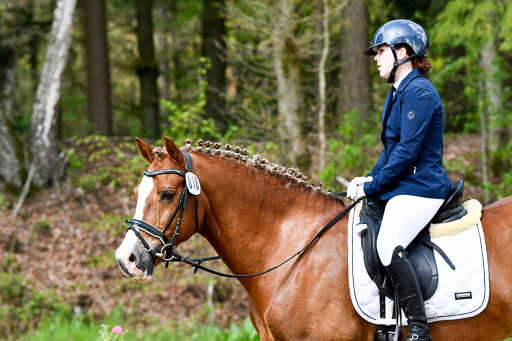 Quali für Goldene Schärpe Ponys in Berge   6+7.5.23 | Mathilda vor dem Brocke - Awakino Golden Glory_25 