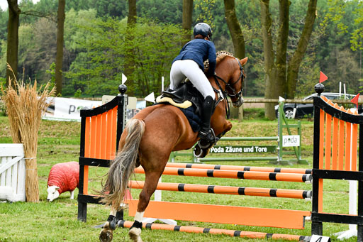 Quali für Goldene Schärpe Ponys in Berge   6+7.5.23 | Mathilda vor dem Brocke - Awakino Golden Glory_32 