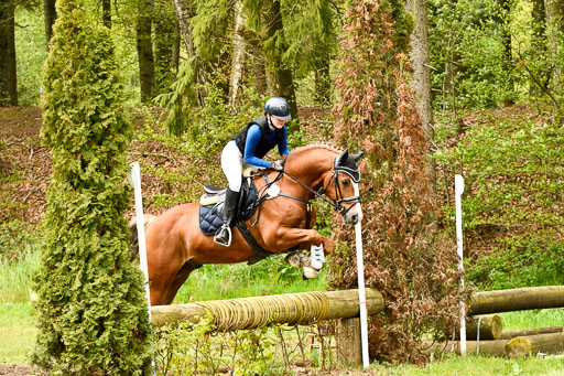 Quali für Goldene Schärpe Ponys in Berge   6+7.5.23 | Mathilda vor dem Brocke - Awakino Golden Glory_42 
