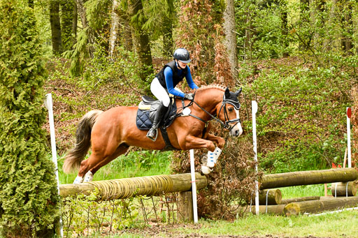 Quali für Goldene Schärpe Ponys in Berge   6+7.5.23 | Mathilda vor dem Brocke - Awakino Golden Glory_43 