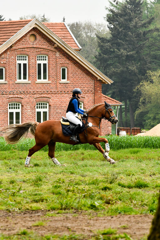 Quali für Goldene Schärpe Ponys in Berge   6+7.5.23 | Mathilda vor dem Brocke - Awakino Golden Glory_47 