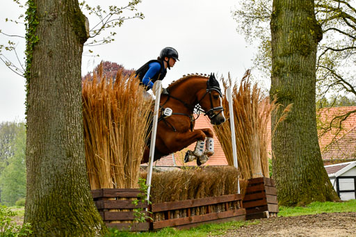 Quali für Goldene Schärpe Ponys in Berge   6+7.5.23 | Mathilda vor dem Brocke - Awakino Golden Glory_50 