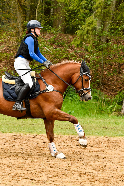 Quali für Goldene Schärpe Ponys in Berge   6+7.5.23 | Mathilda vor dem Brocke - Awakino Golden Glory_61 