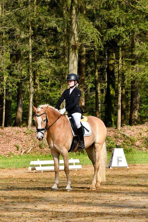 Quali für Goldene Schärpe Ponys in Berge   6+7.5.23 | Mayra Lynn Meyer - Amaretto_02 