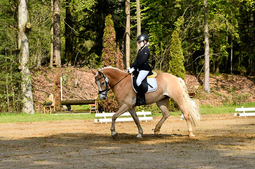 Quali für Goldene Schärpe Ponys in Berge   6+7.5.23 | Mayra Lynn Meyer - Amaretto_03 