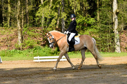 Quali für Goldene Schärpe Ponys in Berge   6+7.5.23 | Mayra Lynn Meyer - Amaretto_04 