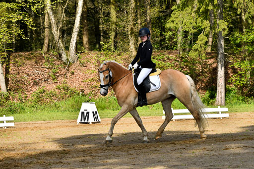 Quali für Goldene Schärpe Ponys in Berge   6+7.5.23 | Mayra Lynn Meyer - Amaretto_05 