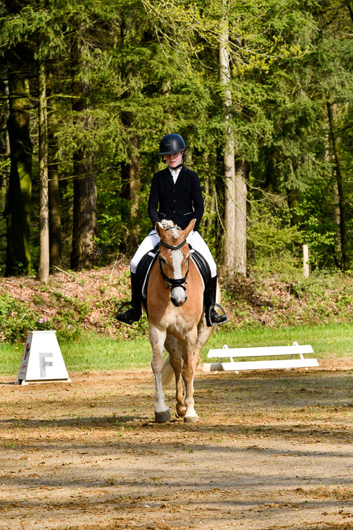 Quali für Goldene Schärpe Ponys in Berge   6+7.5.23 | Mayra Lynn Meyer - Amaretto_06 