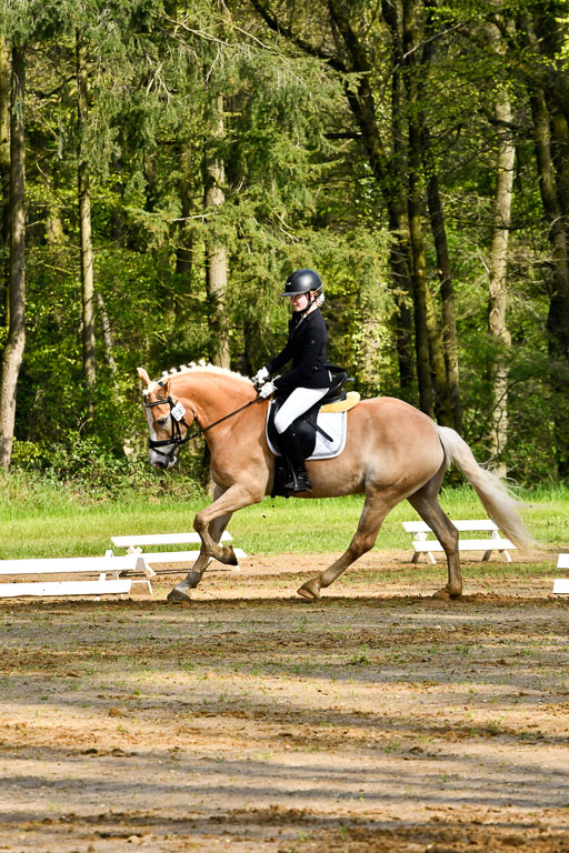 Quali für Goldene Schärpe Ponys in Berge   6+7.5.23 | Mayra Lynn Meyer - Amaretto_08 
