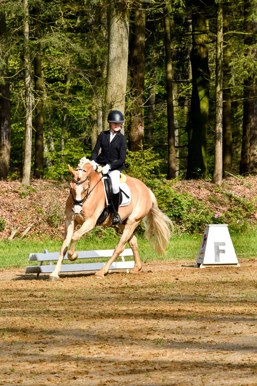Quali für Goldene Schärpe Ponys in Berge   6+7.5.23 | Mayra Lynn Meyer - Amaretto_09 