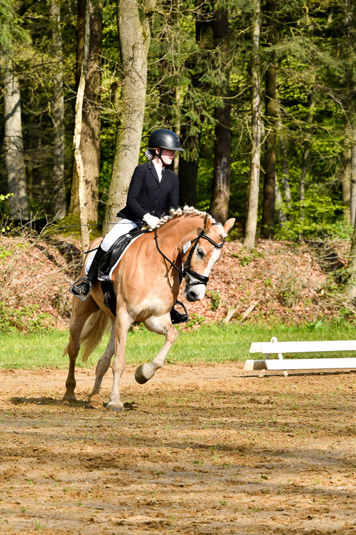 Quali für Goldene Schärpe Ponys in Berge   6+7.5.23 | Mayra Lynn Meyer - Amaretto_10 