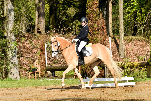 Quali für Goldene Schärpe Ponys in Berge   6+7.5.23 | Mayra Lynn Meyer - Amaretto_11 