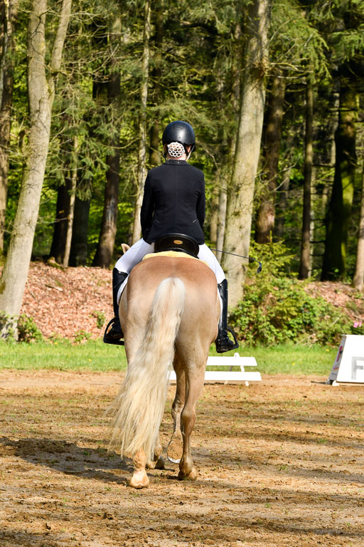 Quali für Goldene Schärpe Ponys in Berge   6+7.5.23 | Mayra Lynn Meyer - Amaretto_12 