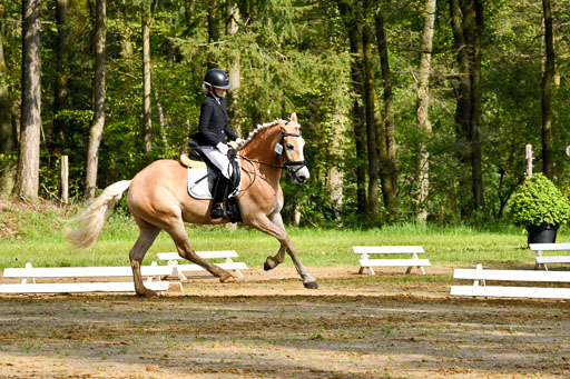 Quali für Goldene Schärpe Ponys in Berge   6+7.5.23 | Mayra Lynn Meyer - Amaretto_13 