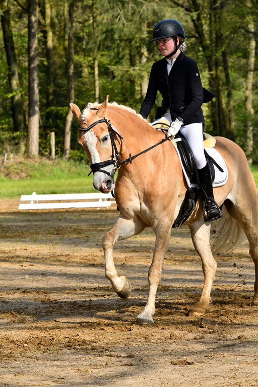 Quali für Goldene Schärpe Ponys in Berge   6+7.5.23 | Mayra Lynn Meyer - Amaretto_15 
