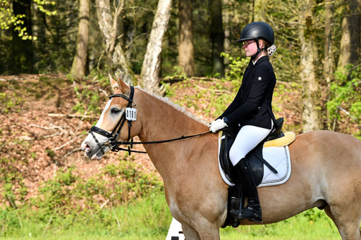 Quali für Goldene Schärpe Ponys in Berge   6+7.5.23 | Mayra Lynn Meyer - Amaretto_16 