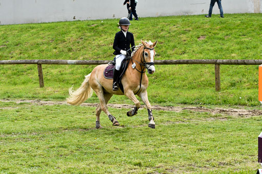 Quali für Goldene Schärpe Ponys in Berge   6+7.5.23 | Mayra Lynn Meyer - Amaretto_19 