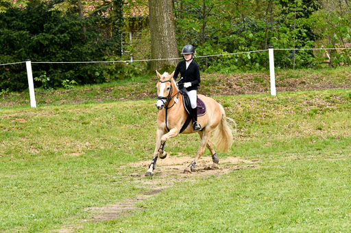 Quali für Goldene Schärpe Ponys in Berge   6+7.5.23 | Mayra Lynn Meyer - Amaretto_20 