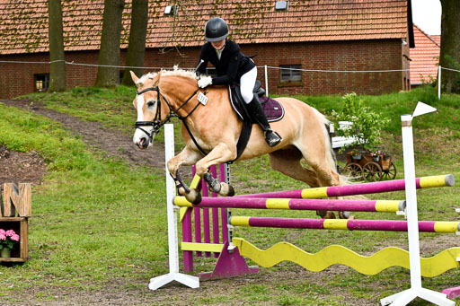 Quali für Goldene Schärpe Ponys in Berge   6+7.5.23 | Mayra Lynn Meyer - Amaretto_23 