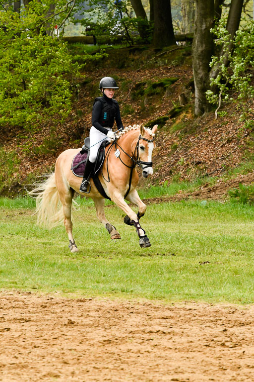 Quali für Goldene Schärpe Ponys in Berge   6+7.5.23 | Mayra Lynn Meyer - Amaretto_28 