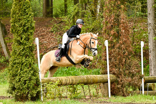Quali für Goldene Schärpe Ponys in Berge   6+7.5.23 | Mayra Lynn Meyer - Amaretto_31 