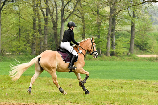 Quali für Goldene Schärpe Ponys in Berge   6+7.5.23 | Mayra Lynn Meyer - Amaretto_33 