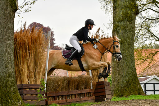Quali für Goldene Schärpe Ponys in Berge   6+7.5.23 | Mayra Lynn Meyer - Amaretto_40 