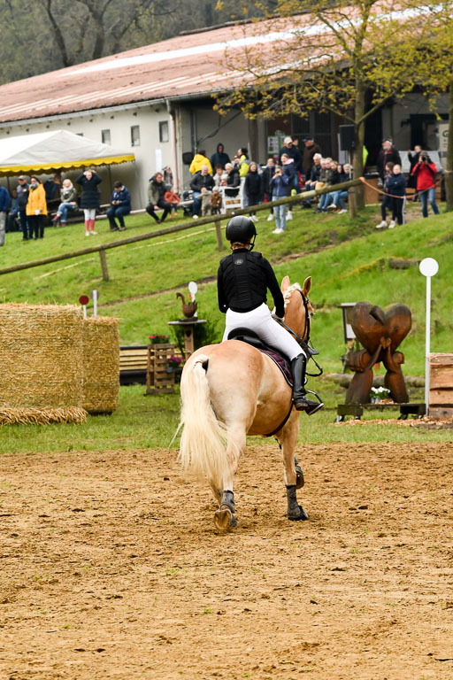 Quali für Goldene Schärpe Ponys in Berge   6+7.5.23 | Mayra Lynn Meyer - Amaretto_41 