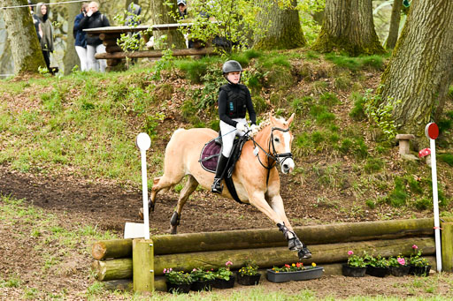 Quali für Goldene Schärpe Ponys in Berge   6+7.5.23 | Mayra Lynn Meyer - Amaretto_42 