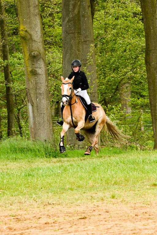 Quali für Goldene Schärpe Ponys in Berge   6+7.5.23 | Mayra Lynn Meyer - Amaretto_48 